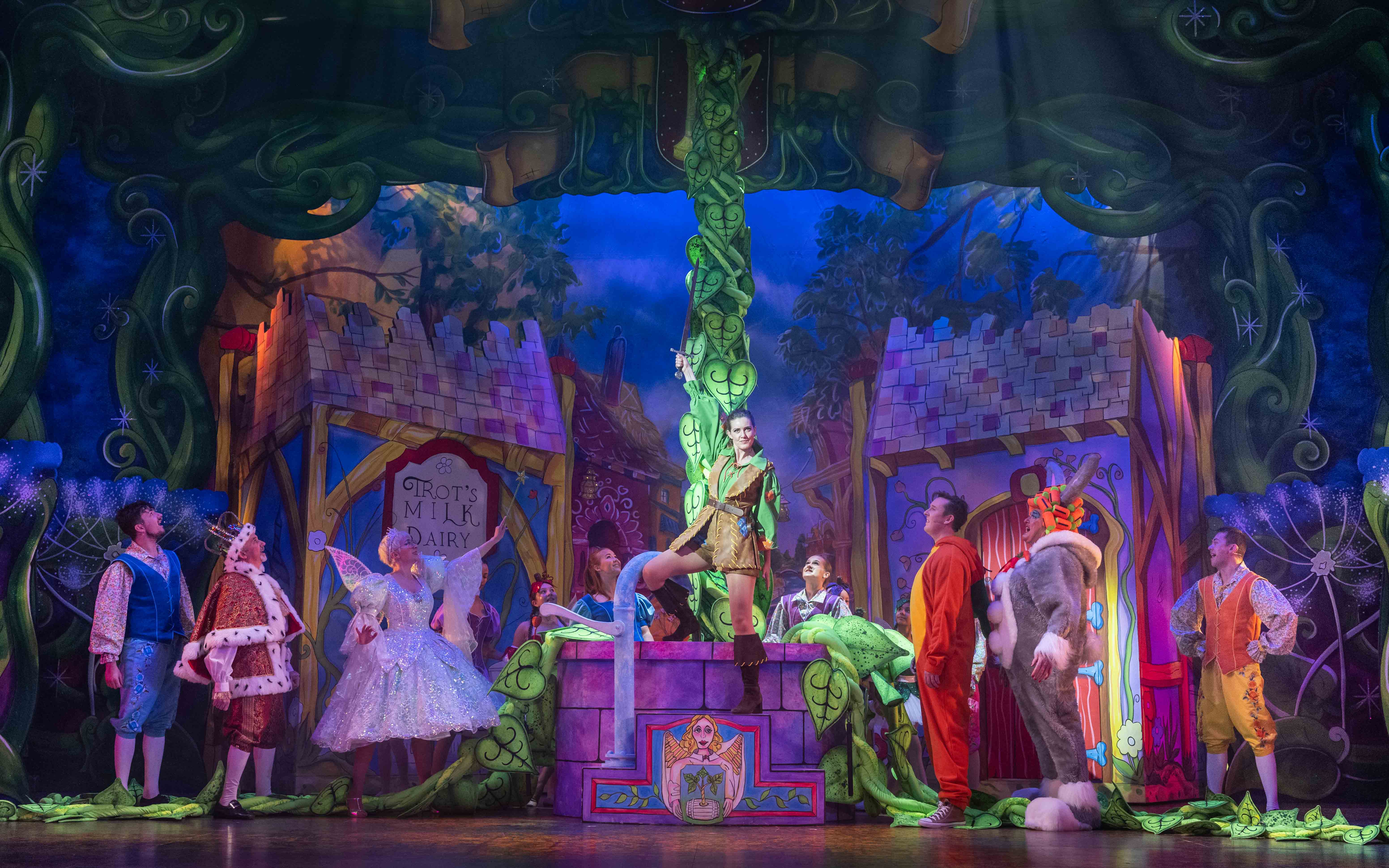 REVIEW:  Jack and the Beanstalk at the Belgrade Theatre, Coventry  image