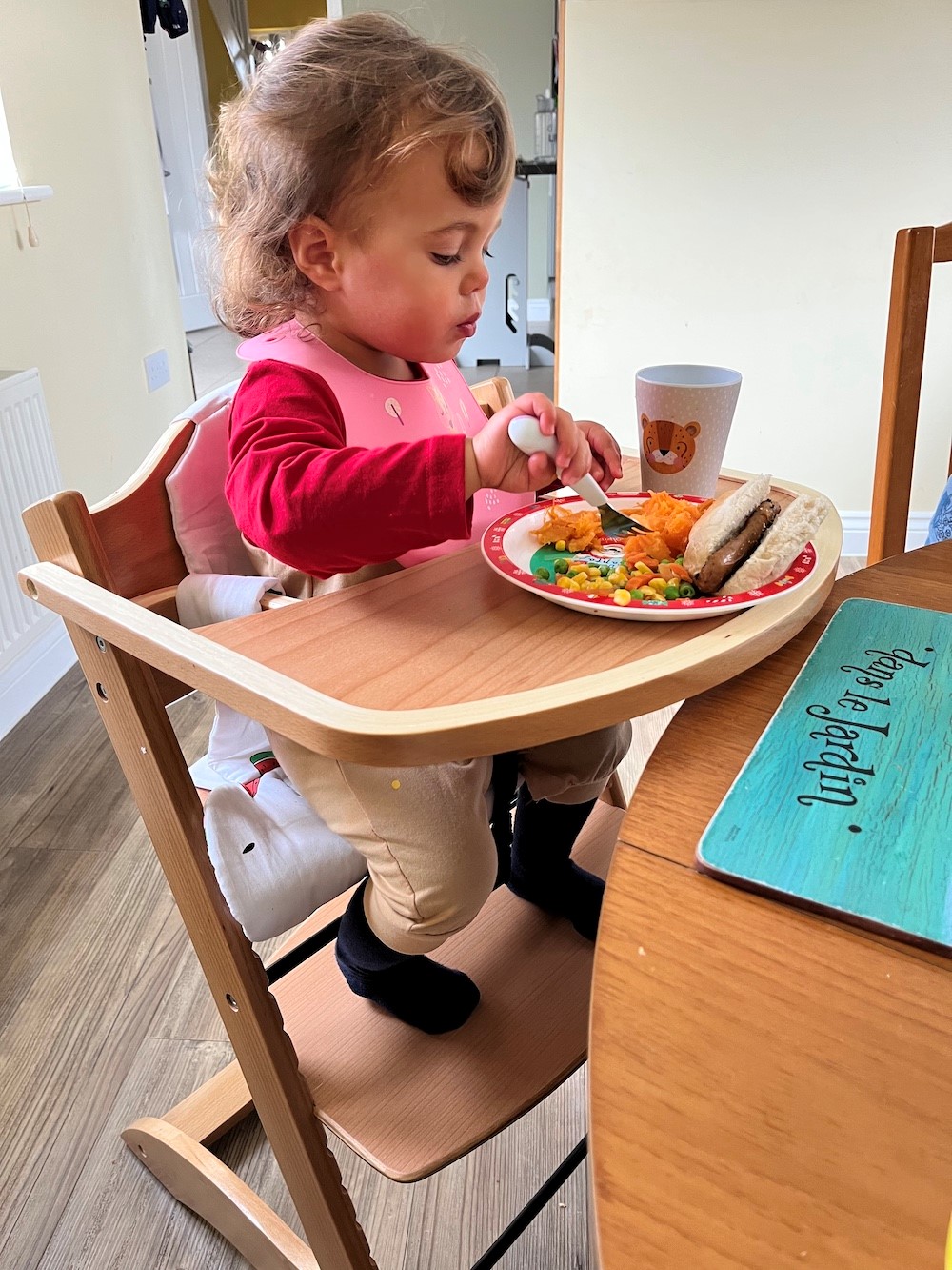 Review: Yummee High Chair from Mokee, worth £149  image