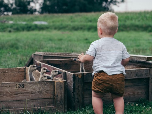 5 Ways To Teach Your Kids The Importance Of Wildlife Conservation | Toddle About 5 Ways To Teach Your Kids The Importance Of Wildlife Conservation | Toddle About