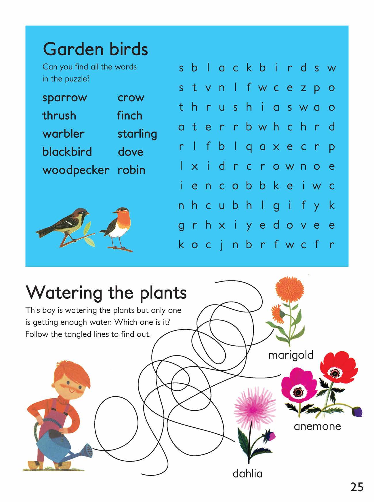 Garden Birds Word Search Activity Sheet   image
