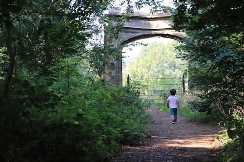 Badby Wood