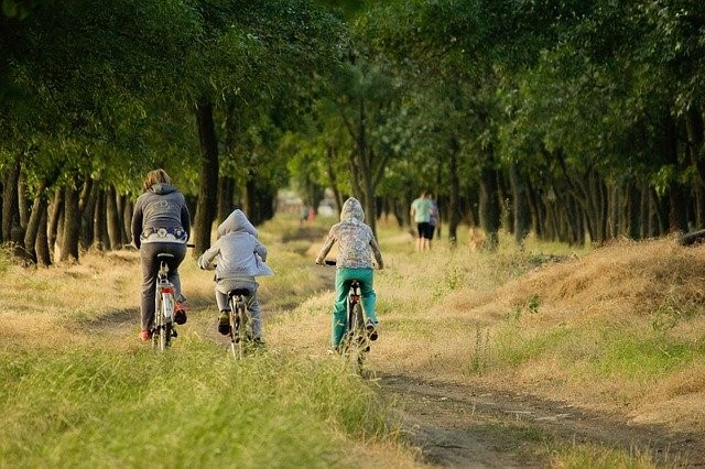 Family bike ride