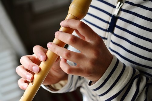 The Recorder is a Great Instrument to Start With  image