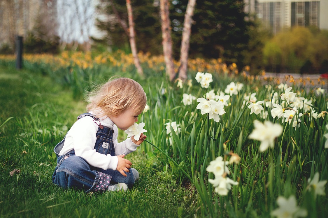 Easy and Fun Ways to Teach Children about Flowers and Gardening   image