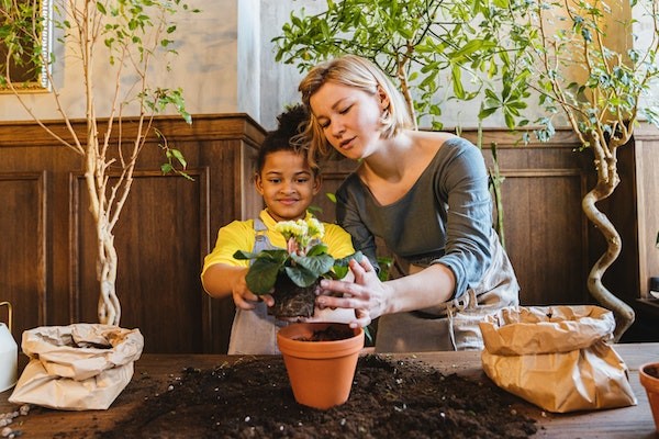 Growing plants with Children