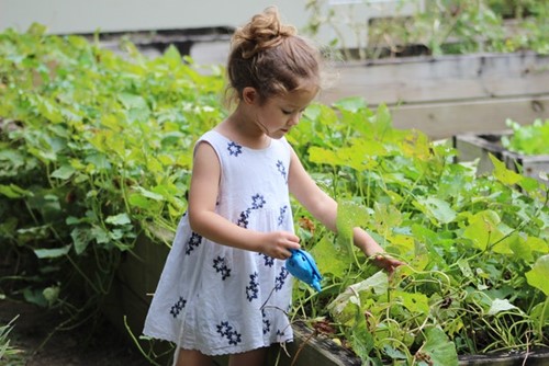 Four Reasons You Need to Get Your Kids Into Gardening This Summer  image