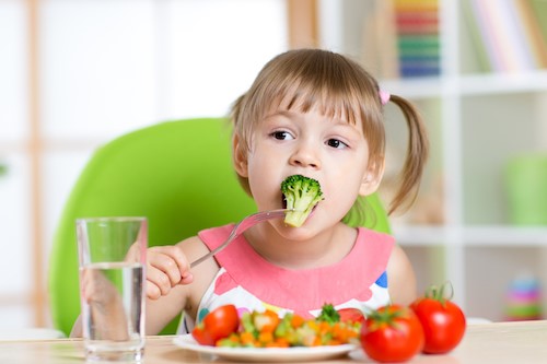 Battle of the Dinner Plate: Taking on Picky Eaters  image
