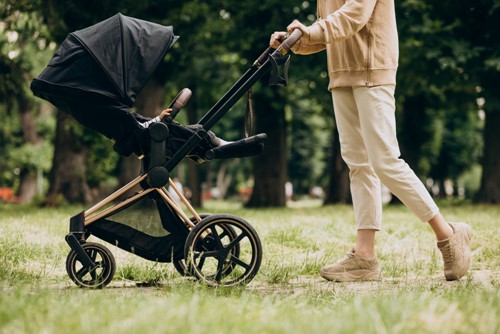 Navigating the Stroller Market: Unveiling the Best Value Pushchairs  image