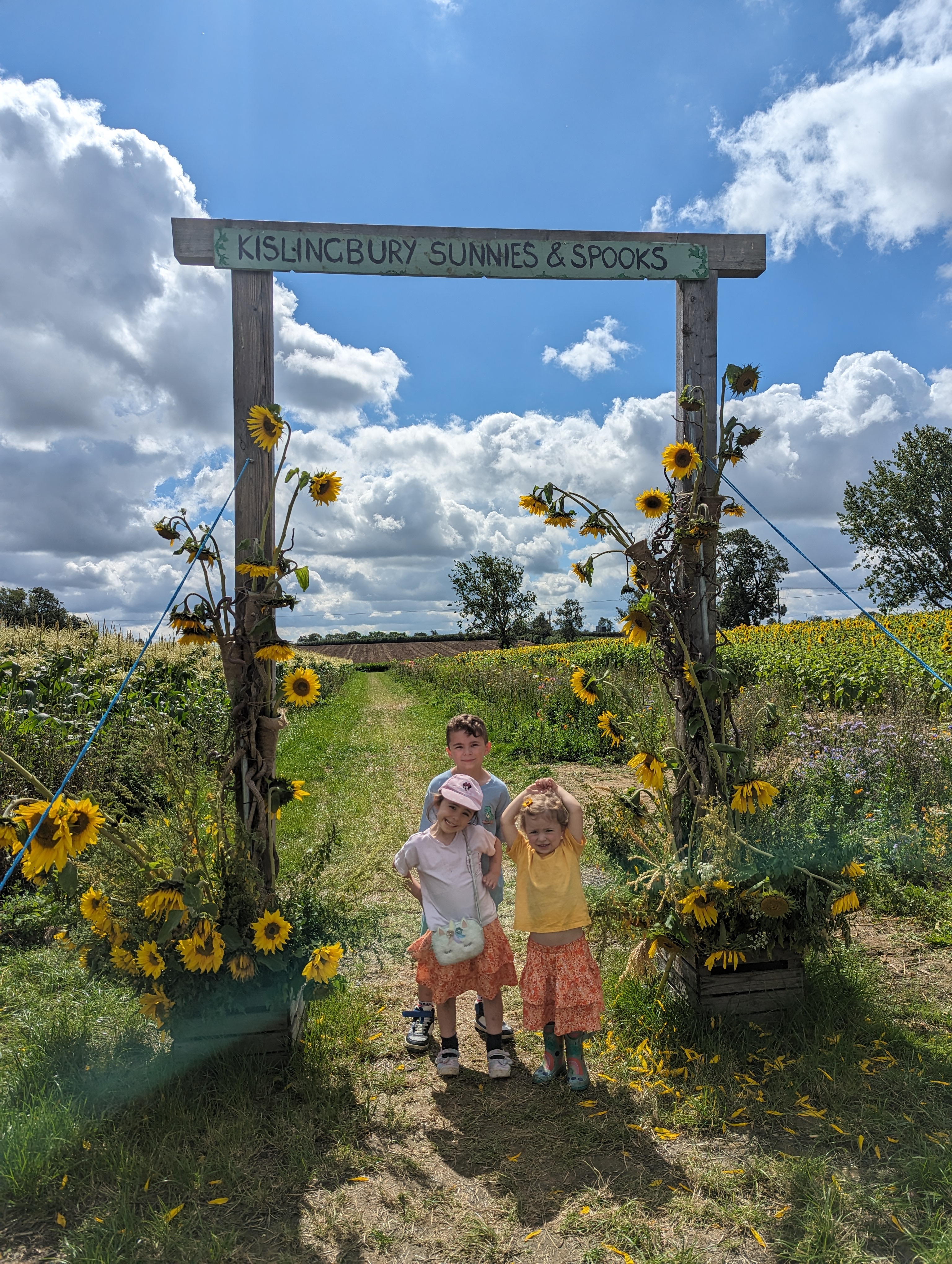 Review: Kislingbury Sunnies and Spooks - Sunflower picking  image