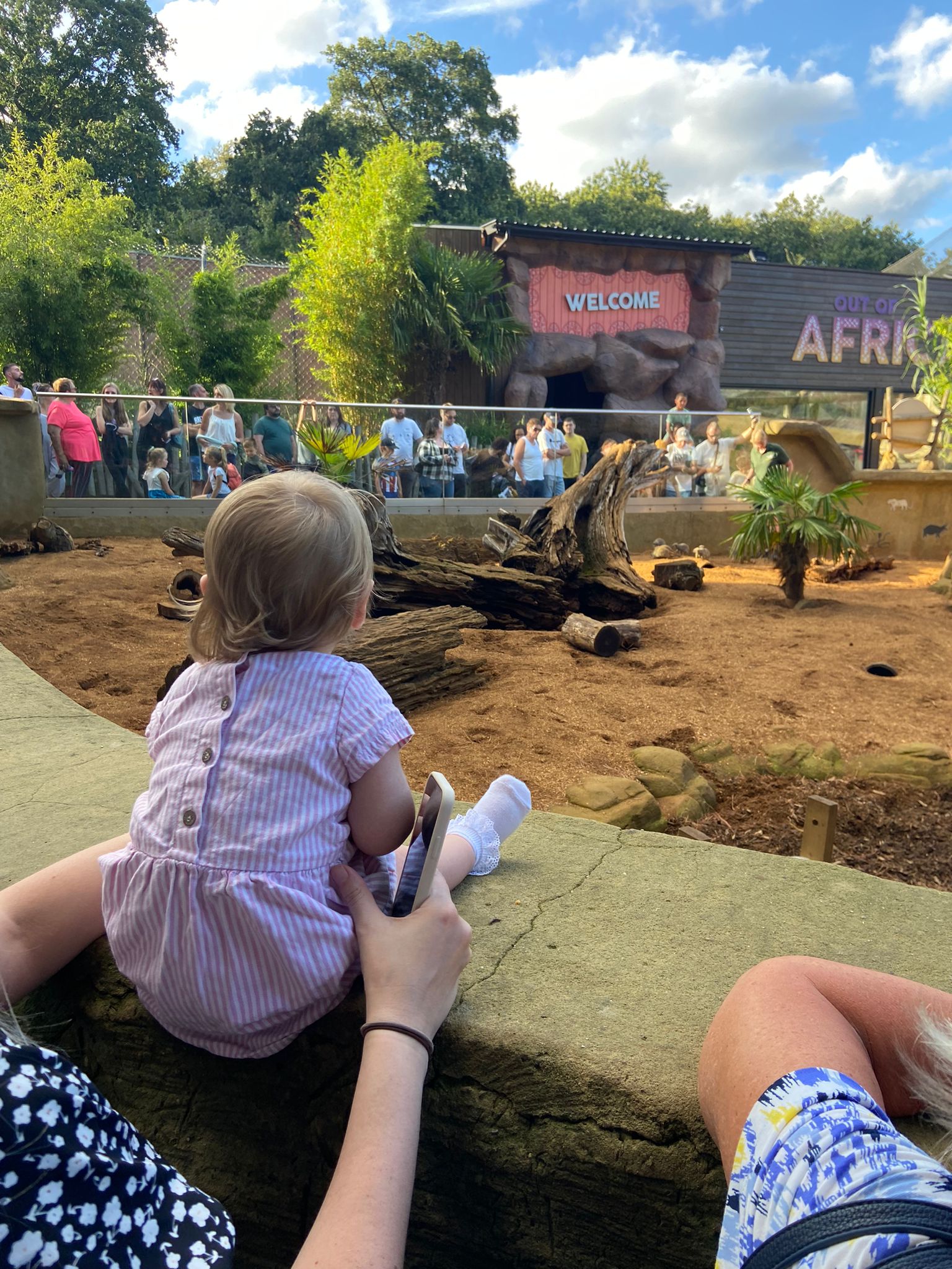 Review: Colchester Zoo  image