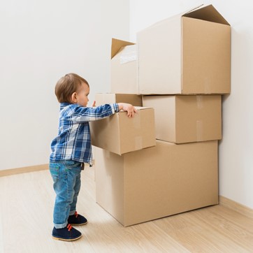 Budgeting Home Removal with Toddlers  image