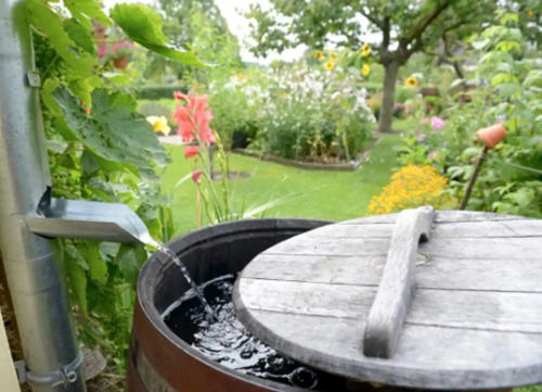 Integrating Water Tanks into Toddler-Friendly Landscapes  image