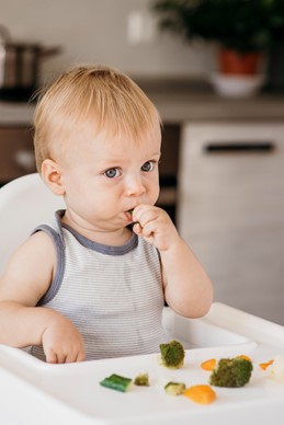 Weaning for Babies - the Festive Food Edition  image