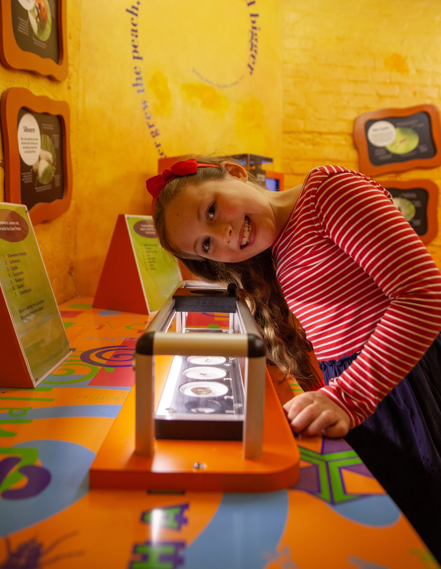 Play, Discover, Learn at Discover Bucks Museum  image