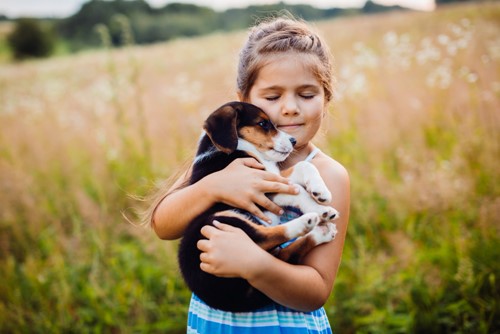 What Are The Best Pets for Families With Kids?  image