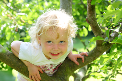 Child Climbing Tree