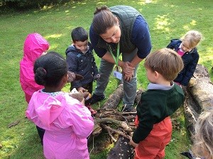 A Natural Education - Forest Schools  image