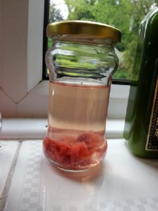 placenta-jar