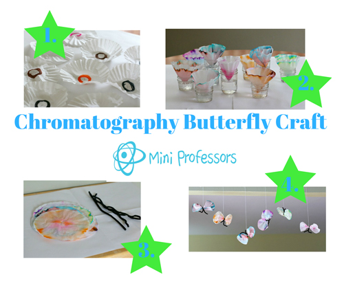 Chromatography Butterfly Craft