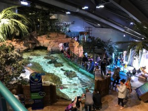 REVIEW: The National Sea Life Centre, Birmingham  image