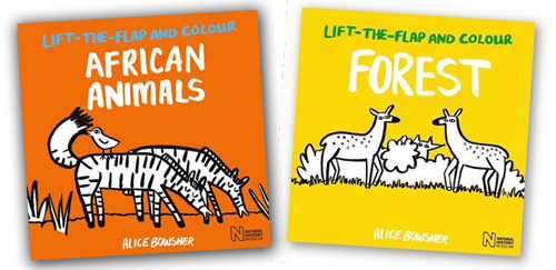 Lift-the-Flap Colouring Books